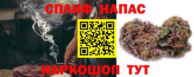 ГАЛЛЮЦИНОГЕННЫЕ ГРИБЫ Новозыбков