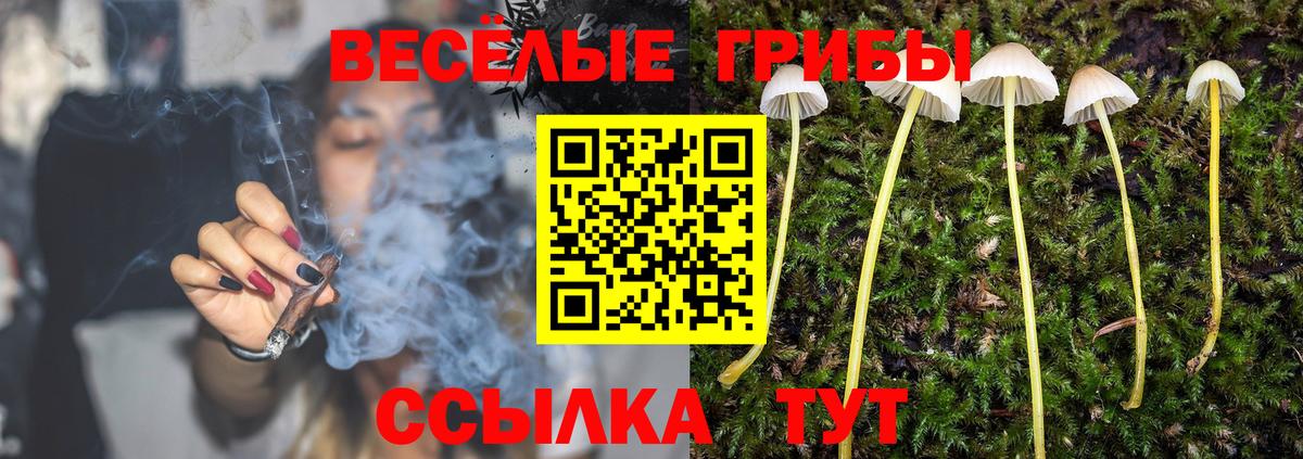 Псилоцибиновые грибы GOLDEN TEACHER  Вход с VPN  Псилоцибиновые грибы ЛСД  Братск 